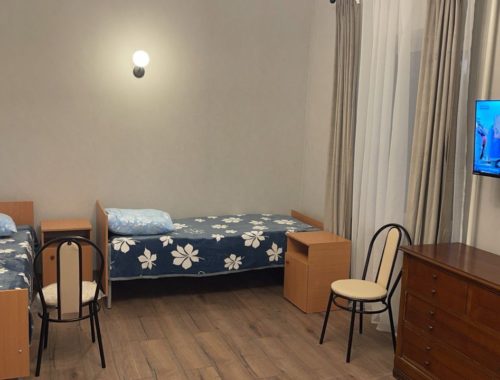 Дом престарелых в Старой Купавне